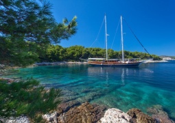 Mljet